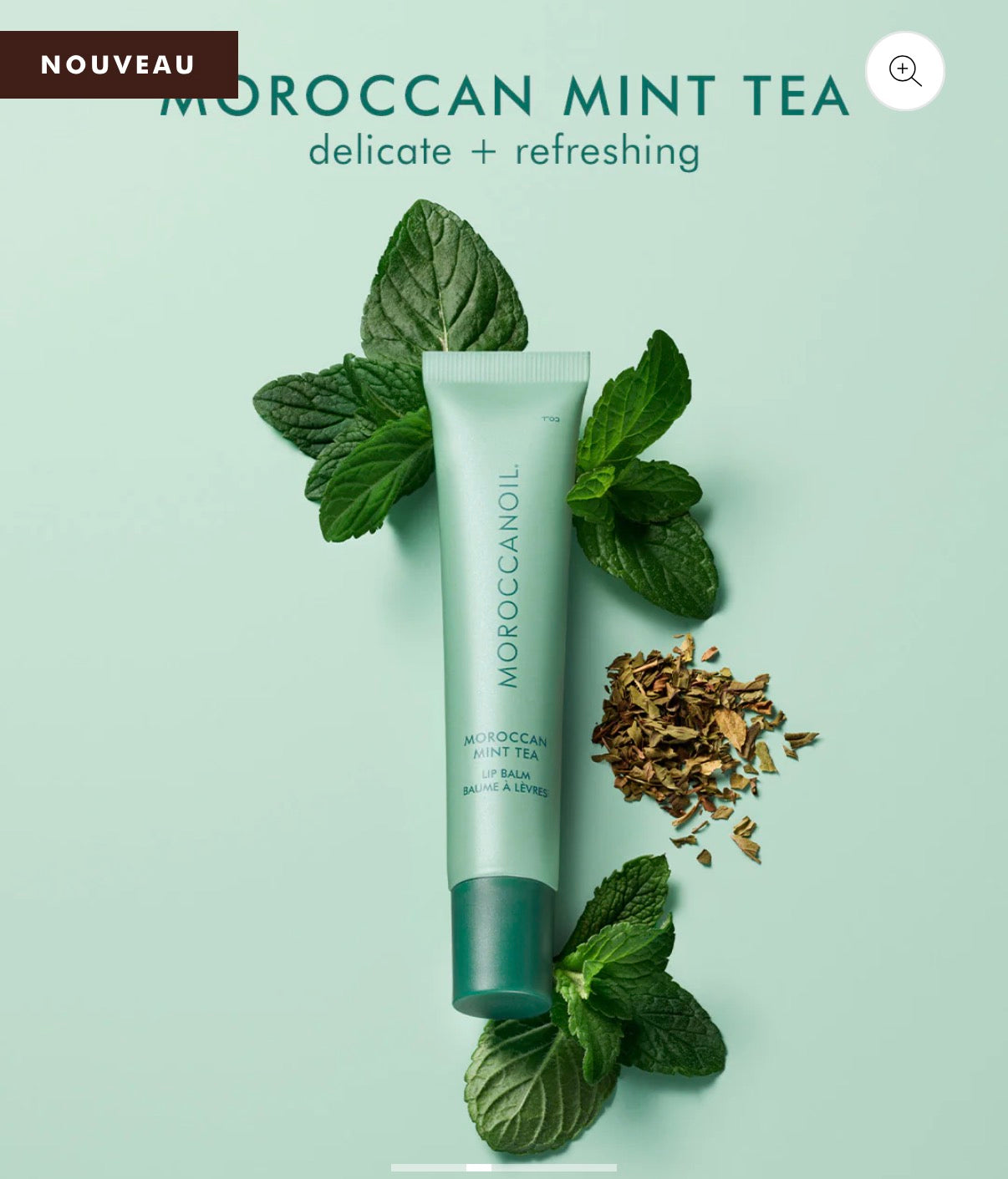 Baumes à lèvres Moroccanoil